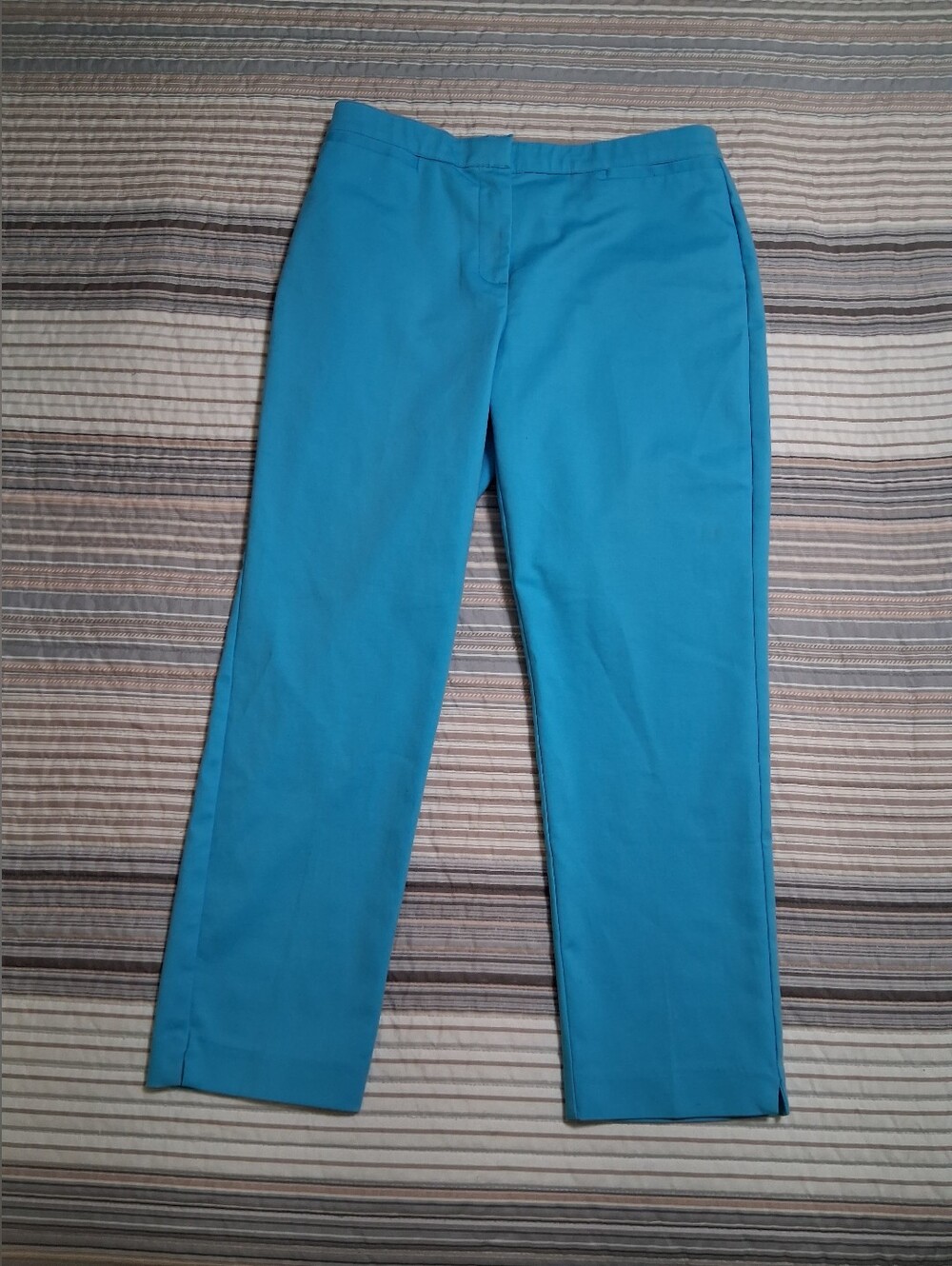 Ruby Rd. Women's Size 8 Blue Flat Front Mid Rise Stretch Waist Ankle Pants